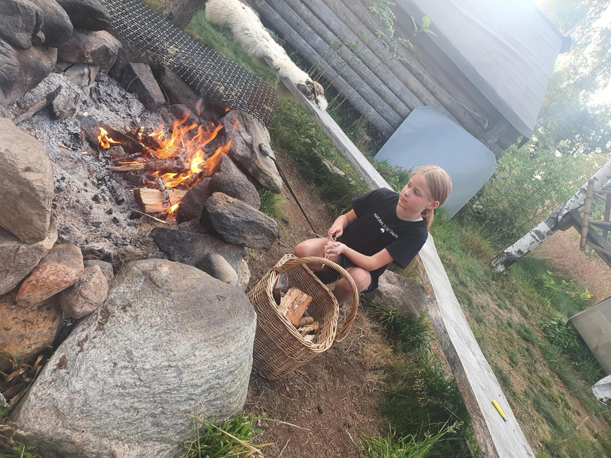 Vittfarnas Vikingaby Villa Sosdala Luaran gambar