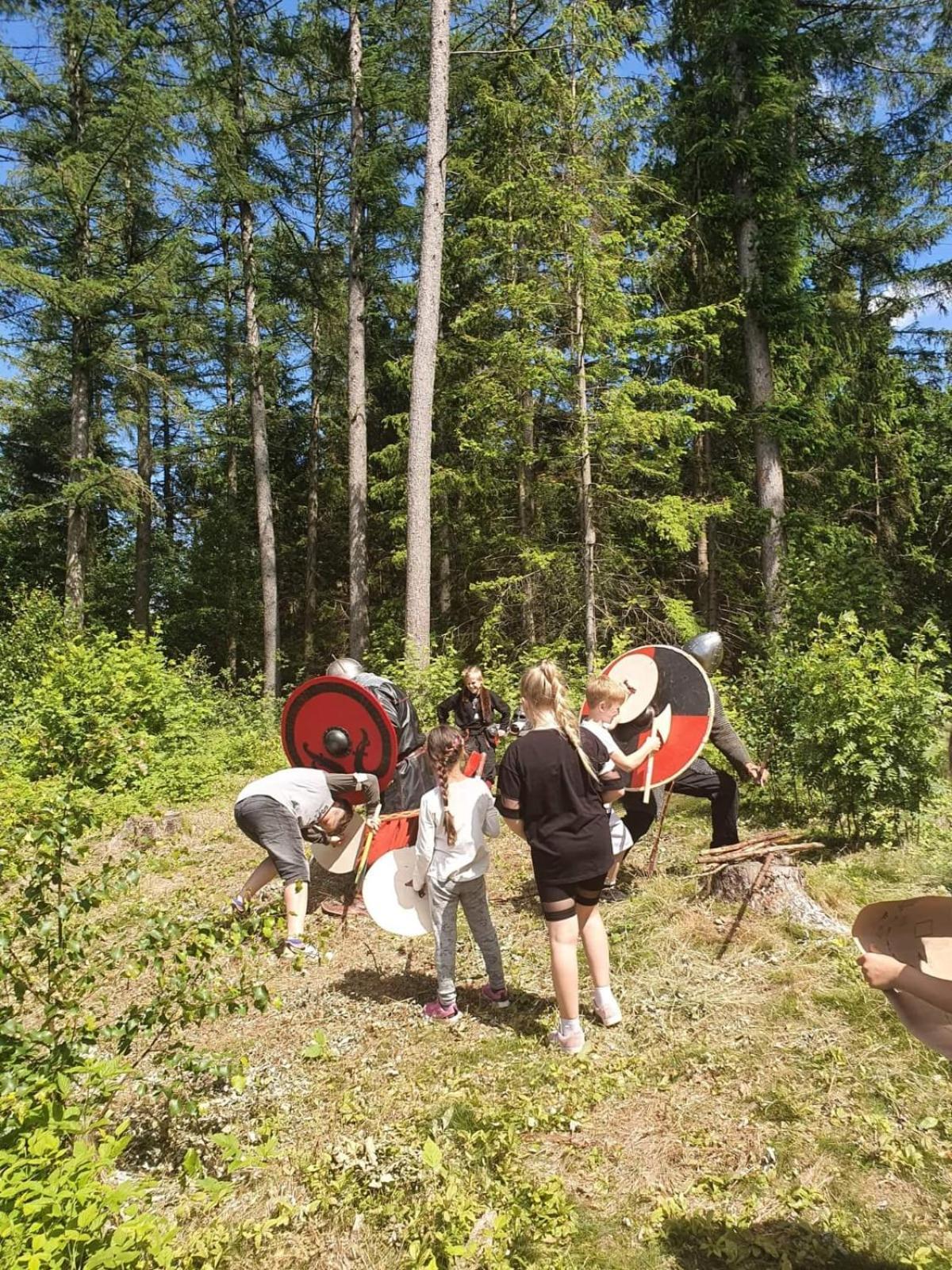 Vittfarnas Vikingaby Villa Sosdala Luaran gambar