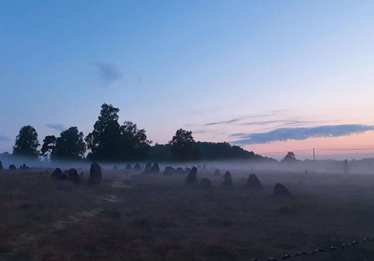 Vittfarnas Vikingaby Villa Sosdala Luaran gambar